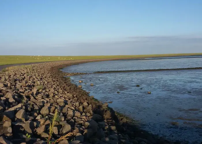 公寓 Goden Wind 20 Westerdeichstrich